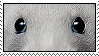 I love rats stamp
